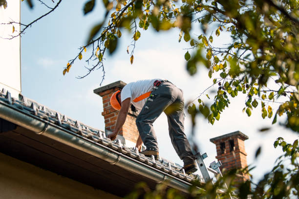 Roof Gutter Cleaning in Valle Vista, CA