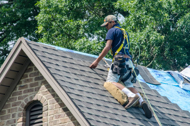 Best Roof Gutter Cleaning  in Valle Vista, CA